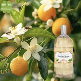 Orange Blossom Eau de Cologne 250 ml | Unisex | Multifunctional