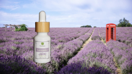 Pure Lavender oil 10x10ml