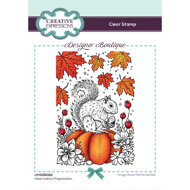 UMSDB082 Creative Expressions clear stempel set Hibernation preparation A6