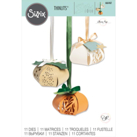 666462 Sizzix Thinlits Dies 3D Lantern By Olivia Rose 11/Pkg