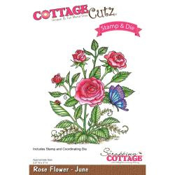 303472 CottageCutz Stamp & Die Set Rose - June