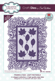 CED4462 Sue Wilson Craft Die Frames & Tags Leafy Rectangle