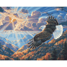 464738 Paint By Number Kit Eagle Freedom 16"X20"