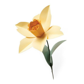 665107 Sizzix Bigz L Die - Daffodil Olivia Rose