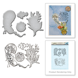 SDS047 Spellbinders Stamp & Die Set Jelly