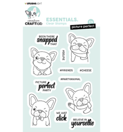 CCL-ES-STAMP221 Picture perfect Buddy Essentials nr.221