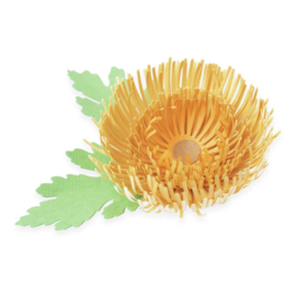 665333 Sizzix Thinlits Dies Chrysanthemum  By Kath Breen 5/Pkg