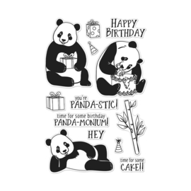 659561 Hero Arts Clear Stamps Birthday Panda 4"X6"