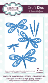 CEDJR069 Jamie Rodgers Craft Die Wings of Wonder Dragonflies