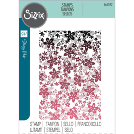 666592 Sizzix Cosmopolitan Clear Stamp Set Petals By Stacey Park
