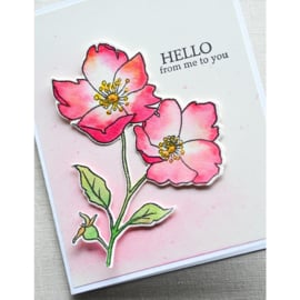 CL5258 Memory Box Clear Stamps Wild Rose Stem