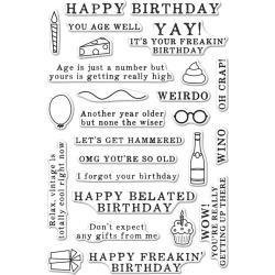 HA-CM143 Hero Arts Clear Stamps Irreverent Birthday Messages 4"X6"