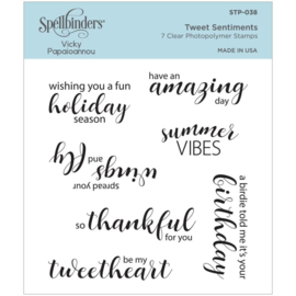STP038 Spellbinders Clear Acrylic Stamps Tweet Sentiments By Vicky Papaioannou