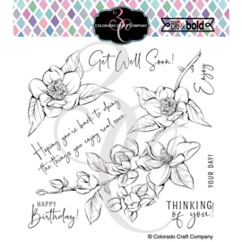 647542 Colorado Craft Company Clear Stamps Thinking Of You Magnolias-Big & Bold 6"X6"