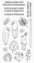 CS-578 My Favorite Things Something Squawk About Clear Stamps