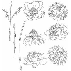 CMS 215 Tim Holtz Cling Rubber Stamp Set Flower Garden