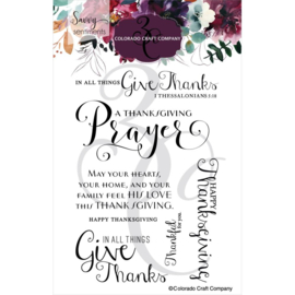 C3SS571 Colorado Craft Company Clear Stamps Thanksgiving Prayer-Savvy Sentiments 4"X6"