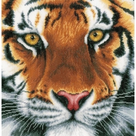 519327 LanArte Tiger On Aida Counted Cross Stitch Kit