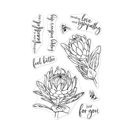 HA-CM448 Hero Arts Clear Stamps Protea Flowers 4"X6"
