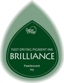 BDIP64 Dew Drops Pearl Ivy