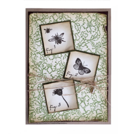 CER022 Creative Expressions Clear pre cut rubber stamp set Wildflowers