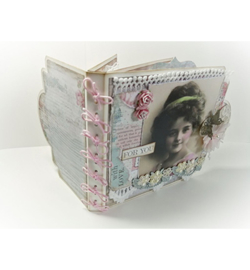 470.713.799 Dutch DooBaDoo Card Art Mini album set