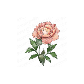 706113 Stamping Bella Cling Stamps Tiny Townie Wonderland Peony