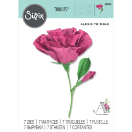 666246 Sizzix Thinlits Dies Lisianthus By Alexis Trimble 7/Pkg