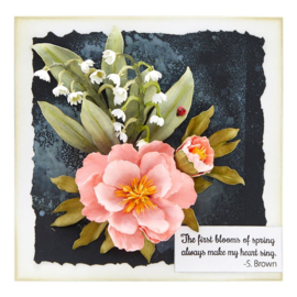 STP026 Spellbinders Clear Acrylic Stamps Spring Quotes