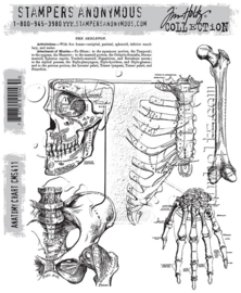 CMS 411 Tim Holtz Cling Stamps Anatomy Chart 7"X8.5"
