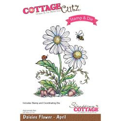 303457 CottageCutz Stamp & Die Set Daisies - April