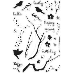 HA-CM129 Hero Arts Clear Stamps Color Layering Birds & Blossoms 4"X6"