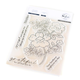 242124 Pinkfresh Studio Clear Stamp Set Never Give Up 4"X6"