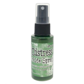 TSO72867 Tim Holtz Distress Oxide Spray Rustic wilderness