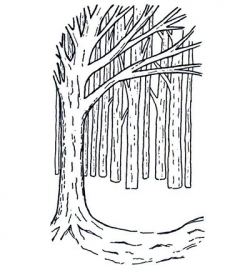 UMS675 Stempel Tree