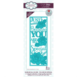 CED1267 Creative Expressions Snijmal slimline You are so special