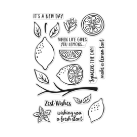 620578 Hero Arts Clear Stamps 4"X6" Zest Wishes