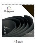 71260 Cardstock Pack 12"X12" Black
