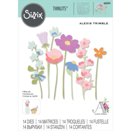 666244 Sizzix Thinlits DiesIn The Meadow By Alexis Trimble 14/Pkg