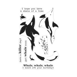 656289 Hero Arts Color Layering Clear Stamps Orca 4"X6"