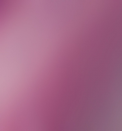 6635 - Inka Gold Violett