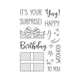 625320 Hero Arts Clear Stamps Surprise Gift 4"X6"