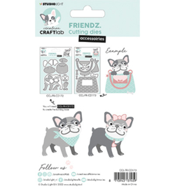 CCL-FR-CD173 Buddy Accessories Friendz nr.173