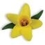 S2128 Spellbinders Shapeabilities Die D-Lites Daffodil