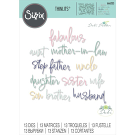 666233 Sizzix Thinlits Dies Fabulous Family Names By Debi Potter 13/Pkg