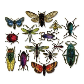 663068 Sizzix Framelits Die Set  Entomology By Tom Holtz 14PK