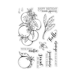 620576 Hero Arts Clear Stamps 4"X6" Orange Blossoms