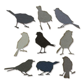 665861 Sizzix Thinlits Die Set 9PK Silhouette Birds by Tim Holtz