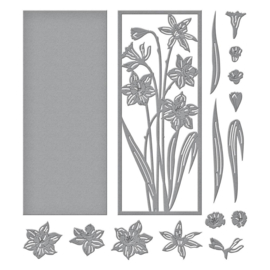 S41284 Spellbinders Etched Dies By Simon Hurley Daffodil Frame - Photosynthesis
