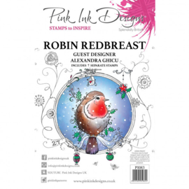 PI083 Creative Expressions Pink ink Robin redbreast clear stamp